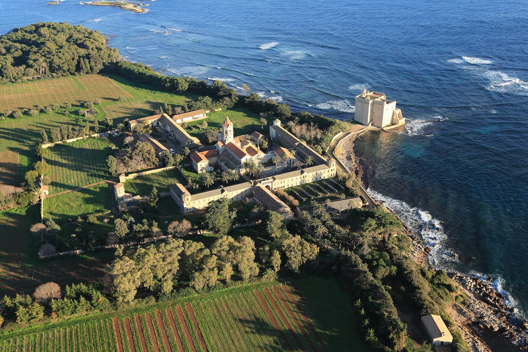 aerial view (1)