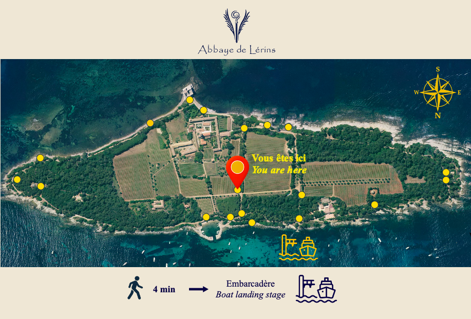 carte vignoble eucalyptus